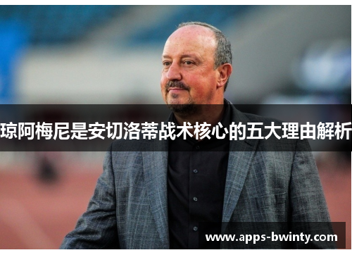 琼阿梅尼是安切洛蒂战术核心的五大理由解析