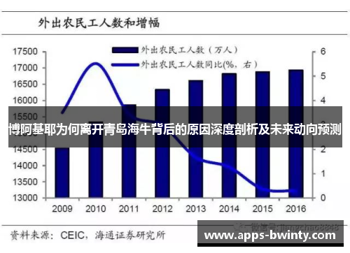 博阿基耶为何离开青岛海牛背后的原因深度剖析及未来动向预测