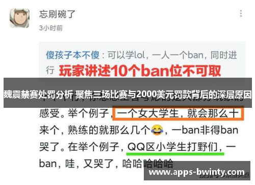 魏震禁赛处罚分析 聚焦三场比赛与2000美元罚款背后的深层原因